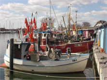 Titel: Fischerboote im Hafen von Niendorf